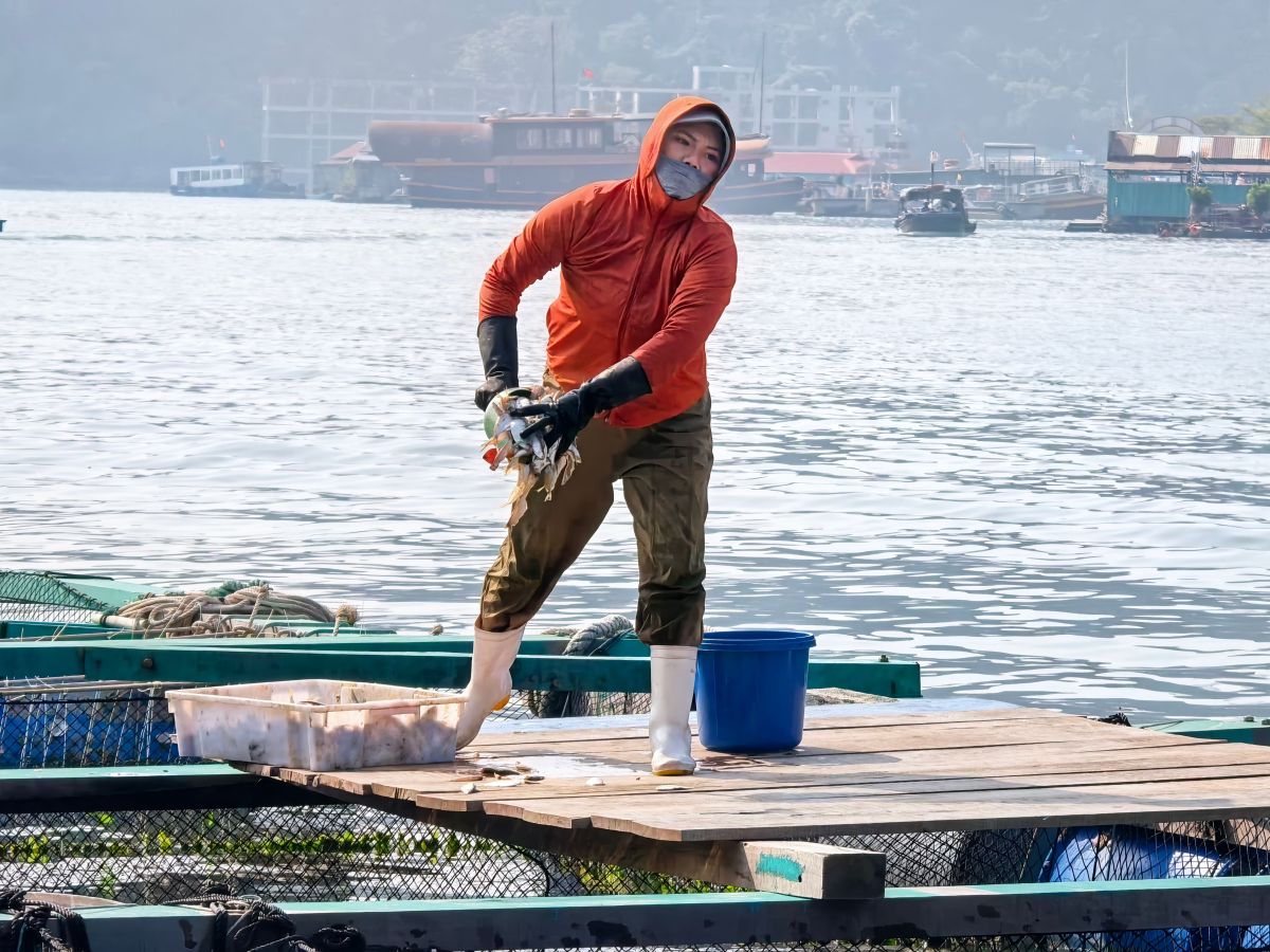 Image for Aquaculture occupation by Shada Migration Services.