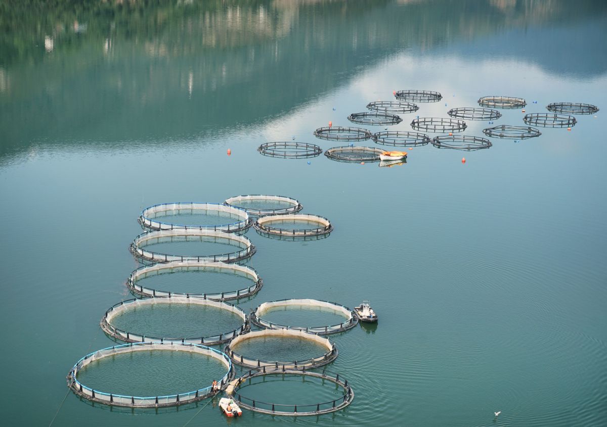 تصویر مربوط به شغل تکنسین آبزی‌پروری یا شیلات - Aquaculture or Fisheries Technician