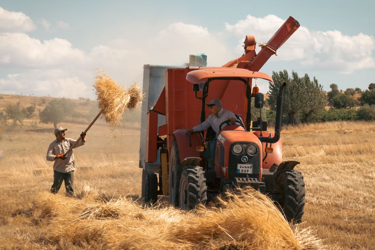 Image for Broadacre Crop Growers nec occupation by Shada Migration Services.