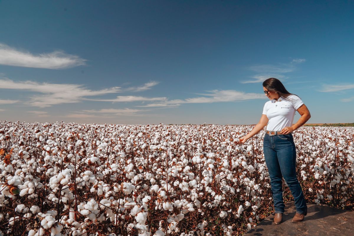 Image for Cotton Farm Worker occupation by Shada Migration Services.