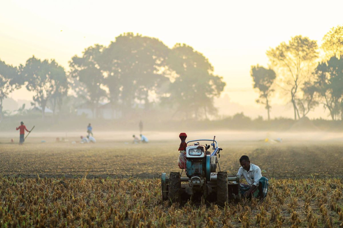 Image for Crop Farm Workers (nec) occupation by Shada Migration Services.