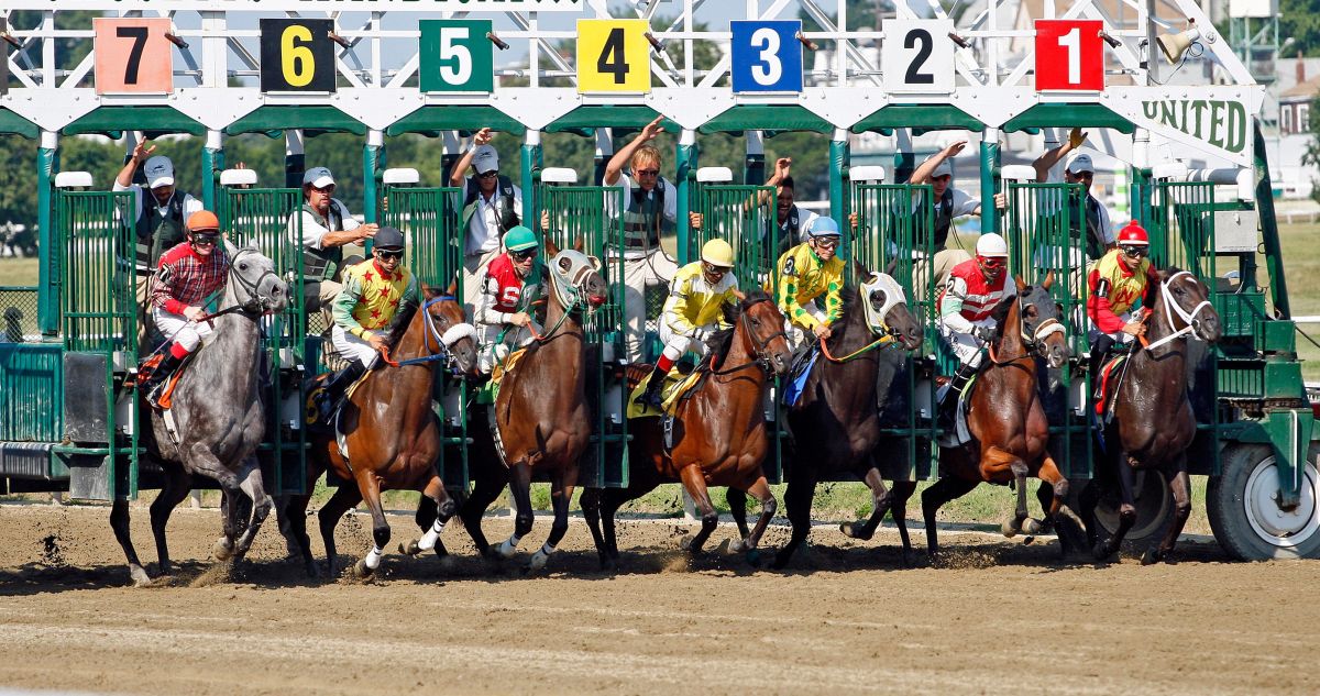 تصویر مربوط به شغل مسئول مسابقات سگ یا اسب - Dog or Horse Racing Official