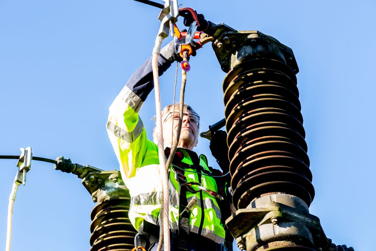 Illustration for Electrical Linesworker occupation by Shada Migration Services.