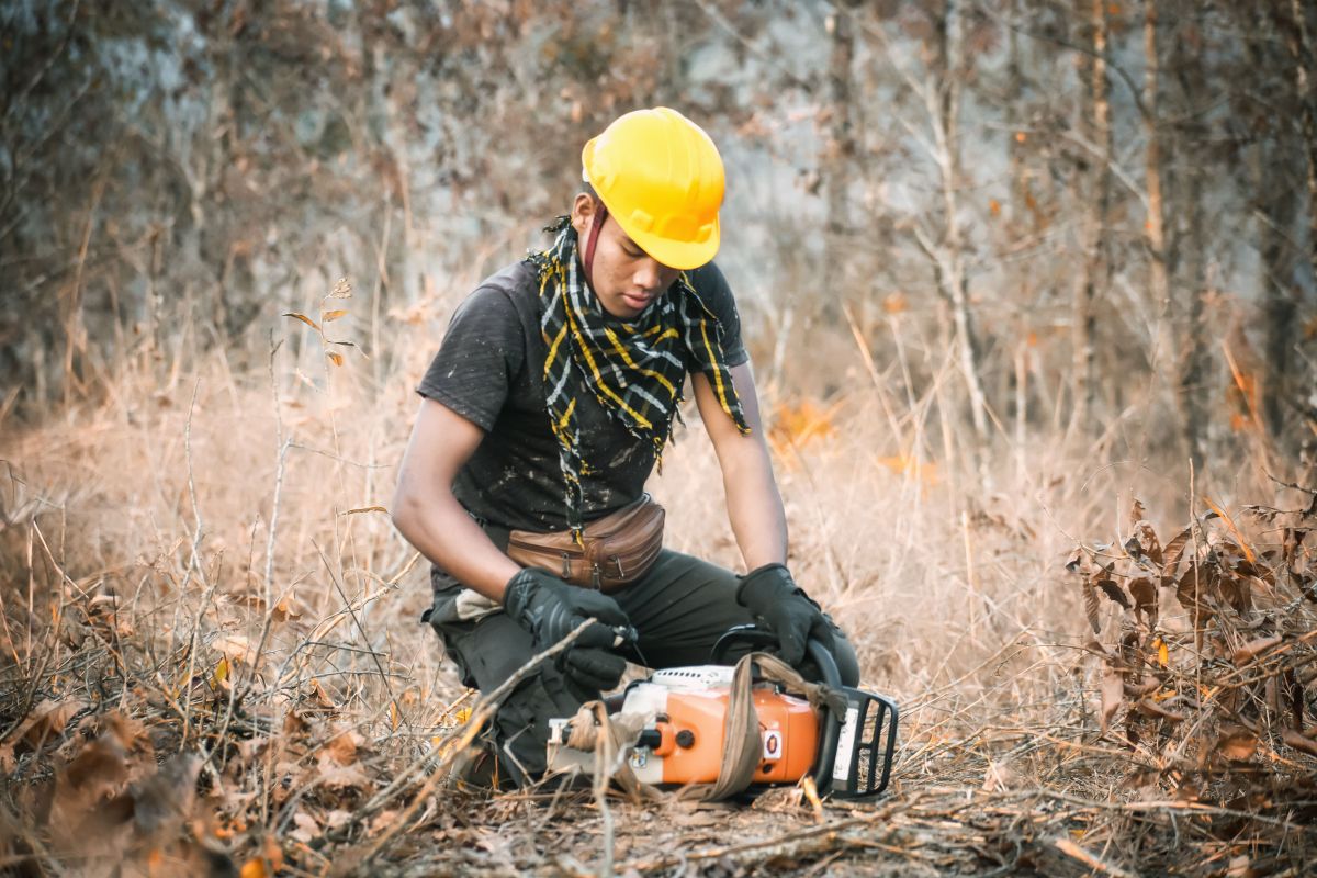 Image for Forestry Worker occupation by Shada Migration Services.