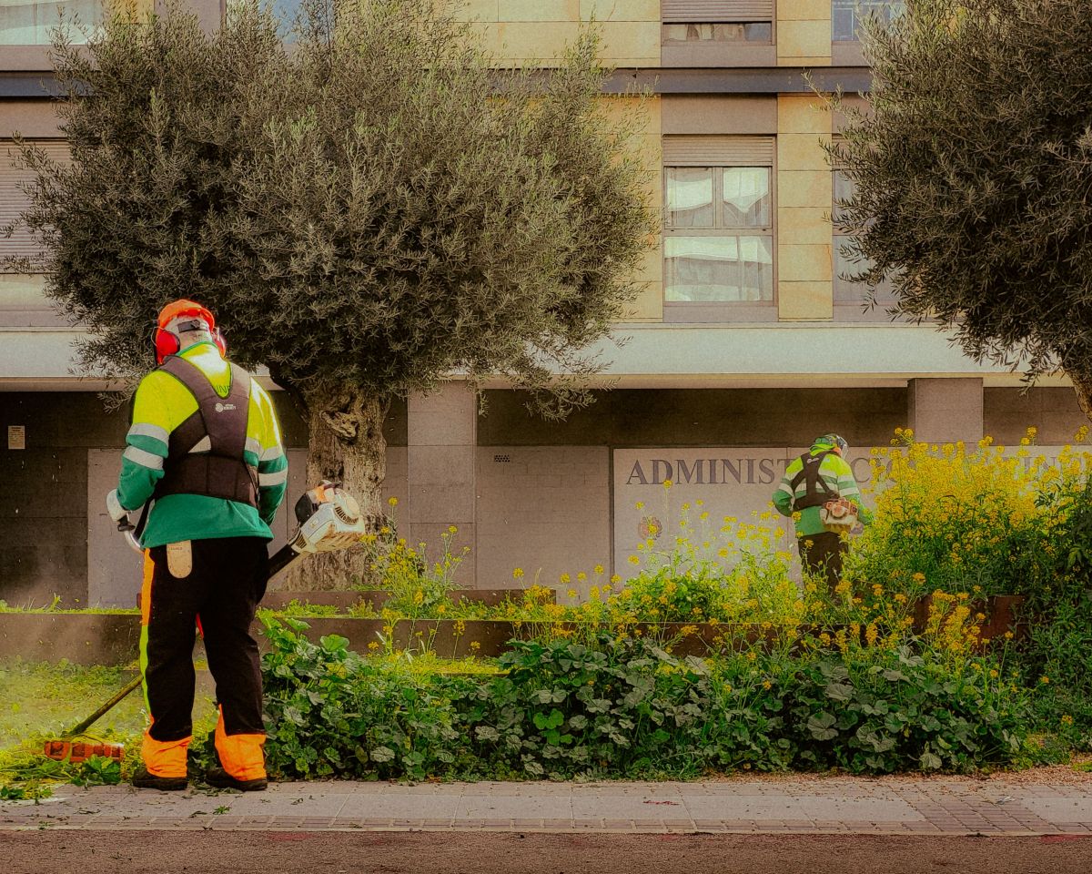 Image for Garden Labourer occupation by Shada Migration Services.