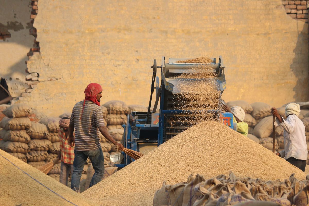 Image for Grain Mill Worker occupation by Shada Migration Services.