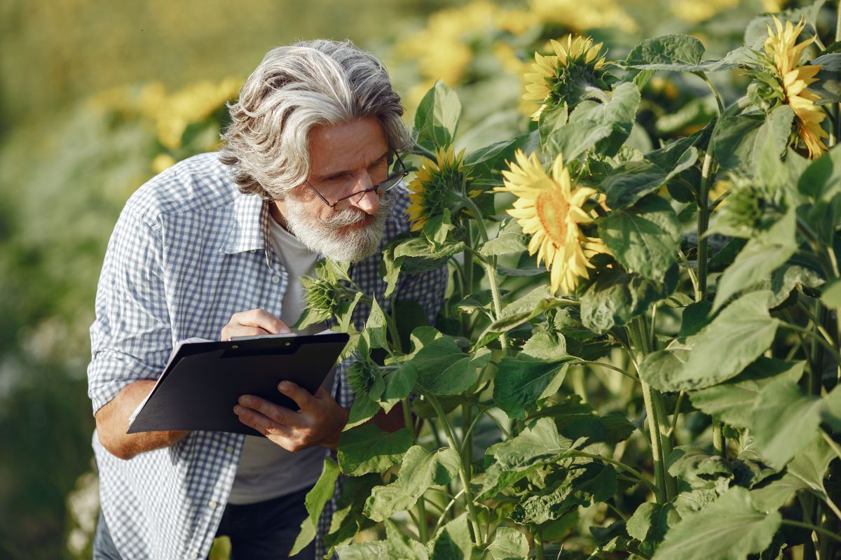Image for Invasive Pest, Weed and Disease Inspector occupation by Shada Migration Services.
