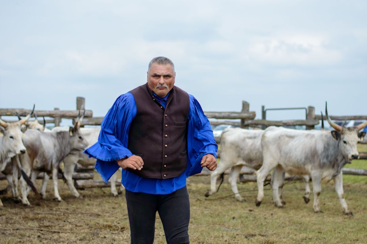 Image for Livestock Husbandry Worker occupation by Shada Migration Services.