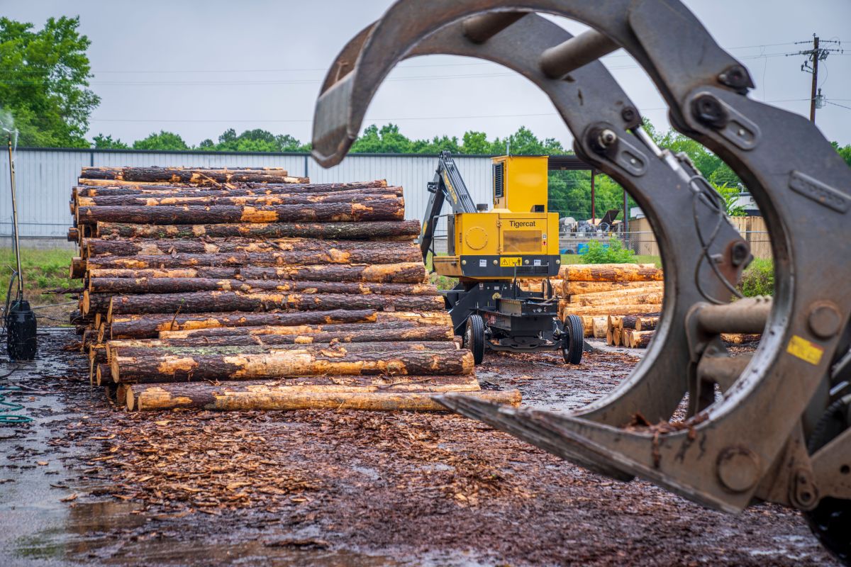 Image for Logging Plant Operator occupation by Shada Migration Services.