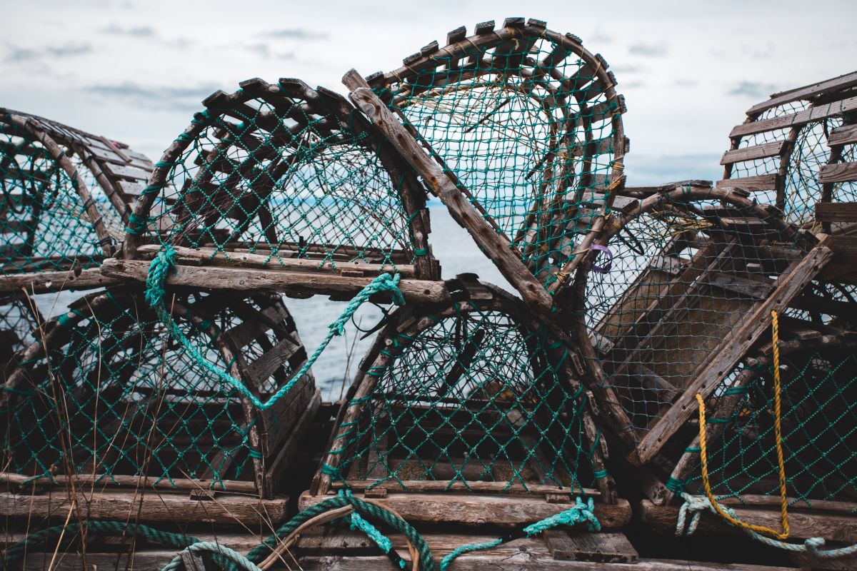 Image for Northern Rock Lobster Fisherman occupation by Shada Migration Services.