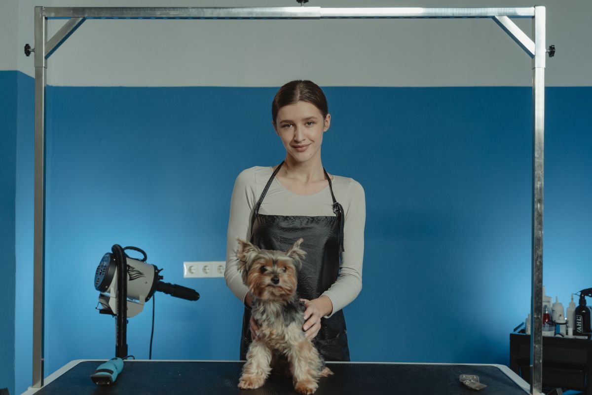 تصویر مربوط به شغل آرایشگر حیوانات خانگی - Pet Groomer