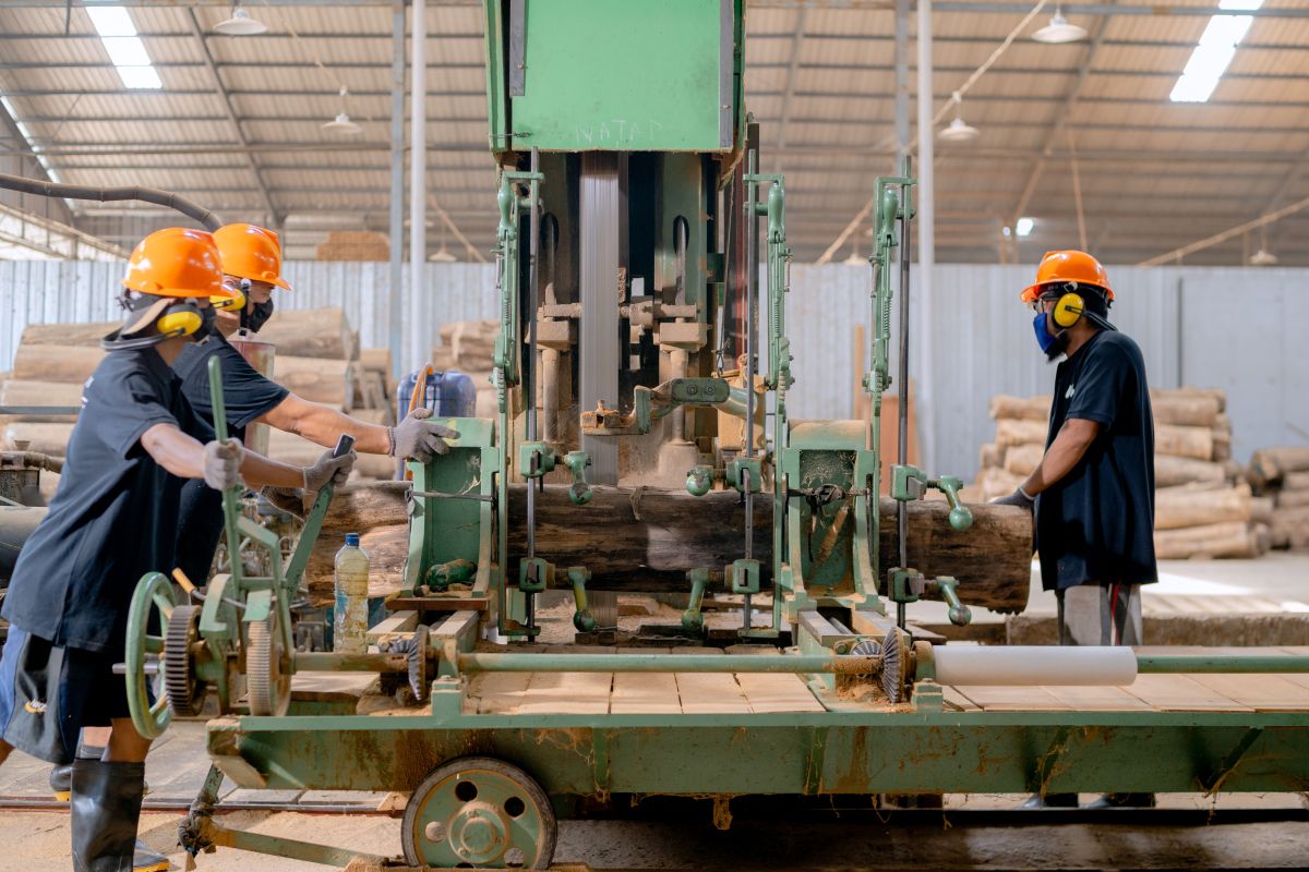 Image for Sawmilling Operator occupation by Shada Migration Services.