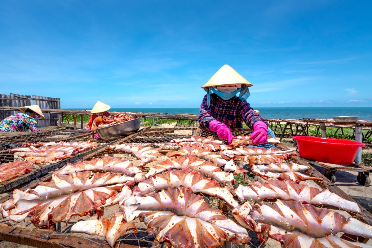 Image for Seafood Process Worker occupation by Shada Migration Services.