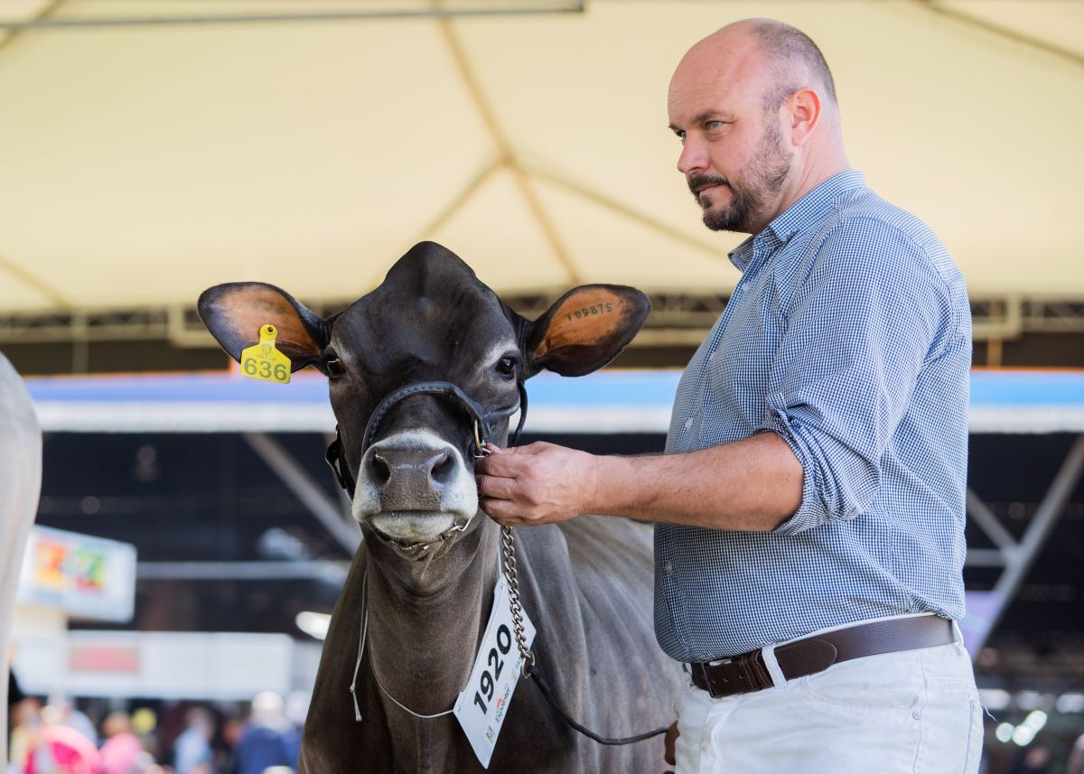 Image for Senior Dairy Cattle Farm Worker occupation by Shada Migration Services.