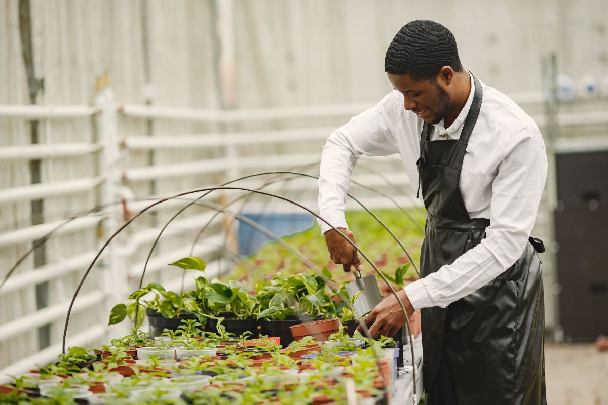Image for Skilled Horticultural Worker occupation by Shada Migration Services.