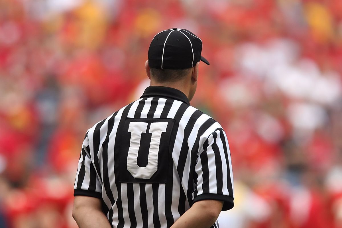 تصویر مربوط به شغل داور ورزشی - Sports Umpire
