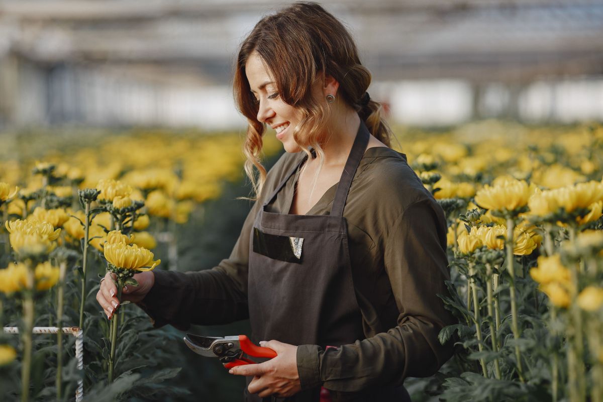 Image for Agricultural & Horticultural Mobile Plant Operator occupation by Shada Migration Services.