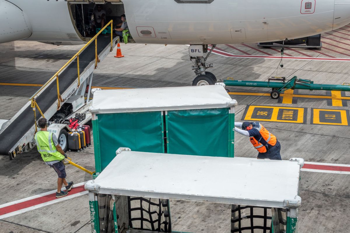 Image for Aircraft Baggage Handler and Airline Ground Crew occupation by Shada Migration Services.