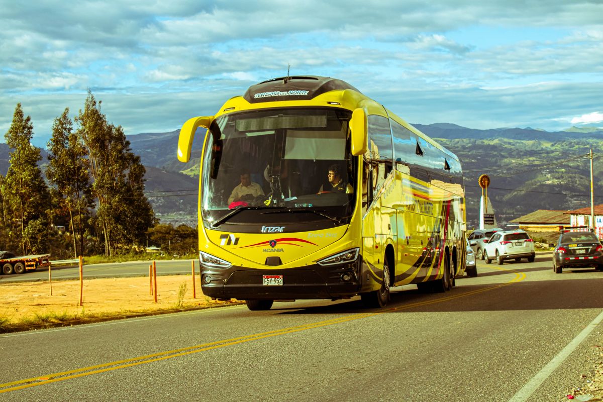 Image for Charter and Tour Bus Driver occupation by Shada Migration Services.