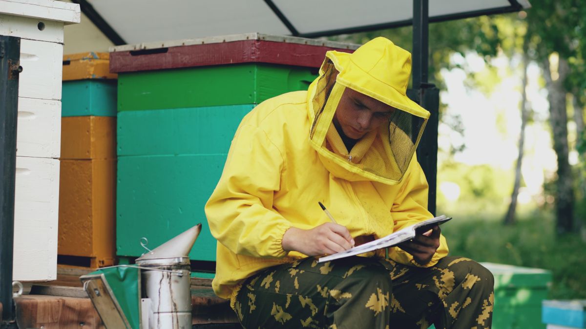 Illustration for Entomologist occupation by Shada Migration Services.