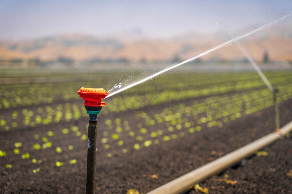 Illustration for Irrigation Designer occupation by Shada Migration Services.