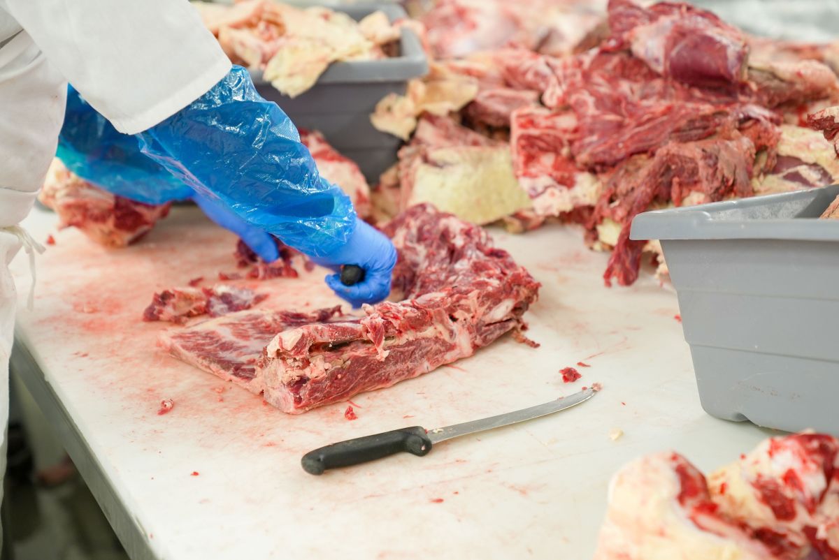 Image for Meat Boner and Slicer occupation by Shada Migration Services.