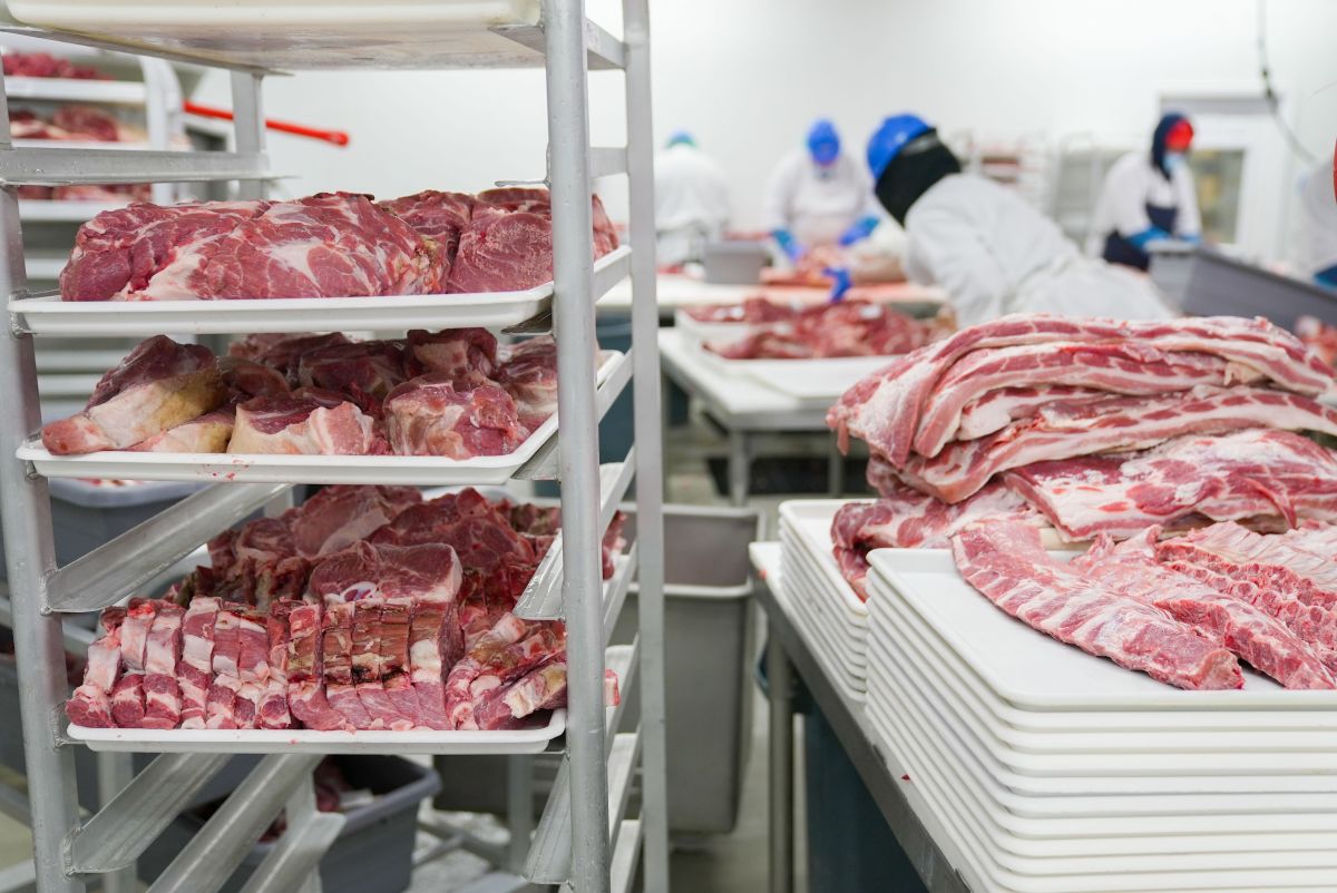 Image for Meat Processor occupation by Shada Migration Services.