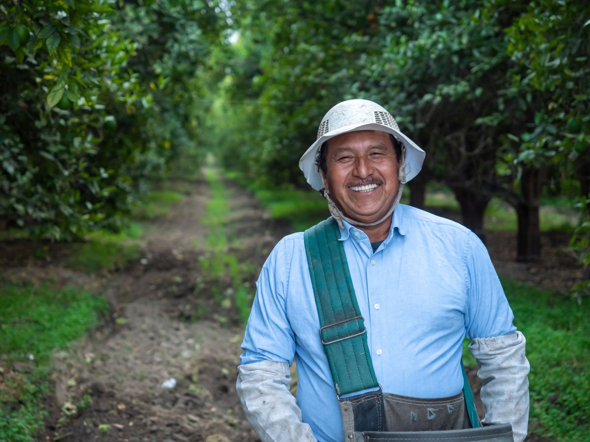 Image for Nut Grower occupation by Shada Migration Services.