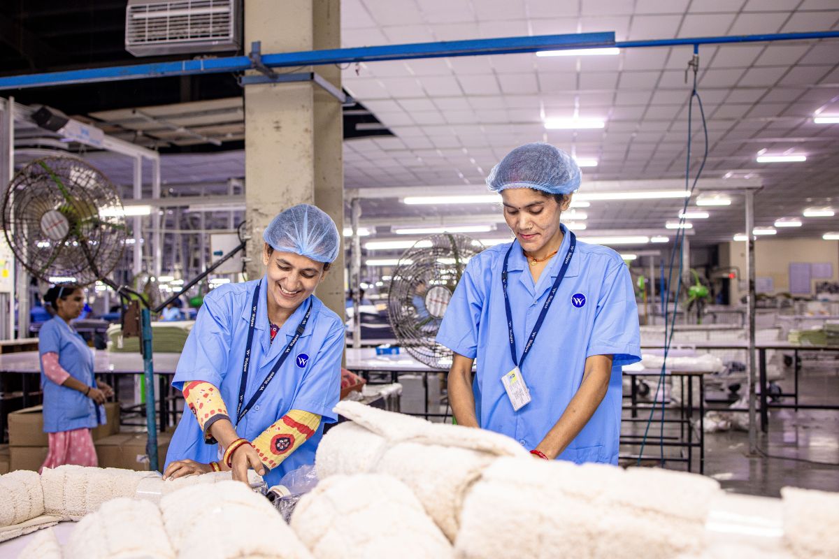Illustration for Wool Classer occupation by Shada Migration Services.