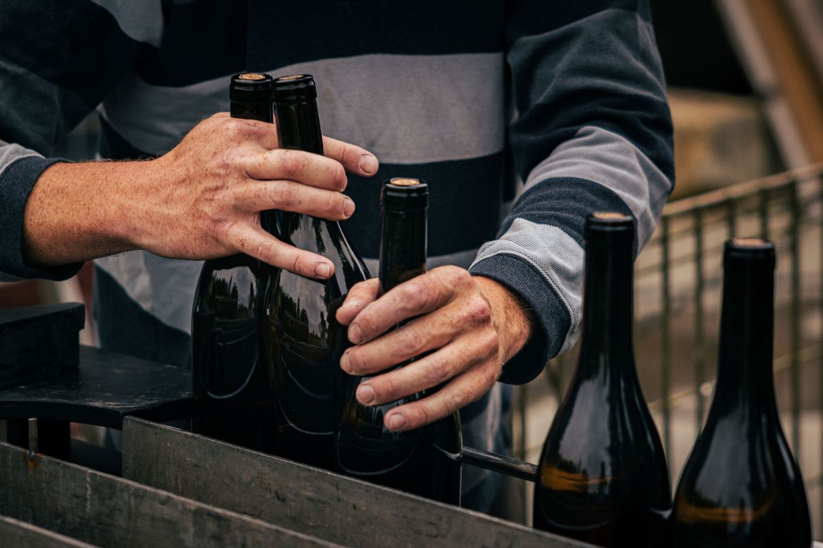 Image for Winery Cellar Hand occupation by Shada Migration Services.