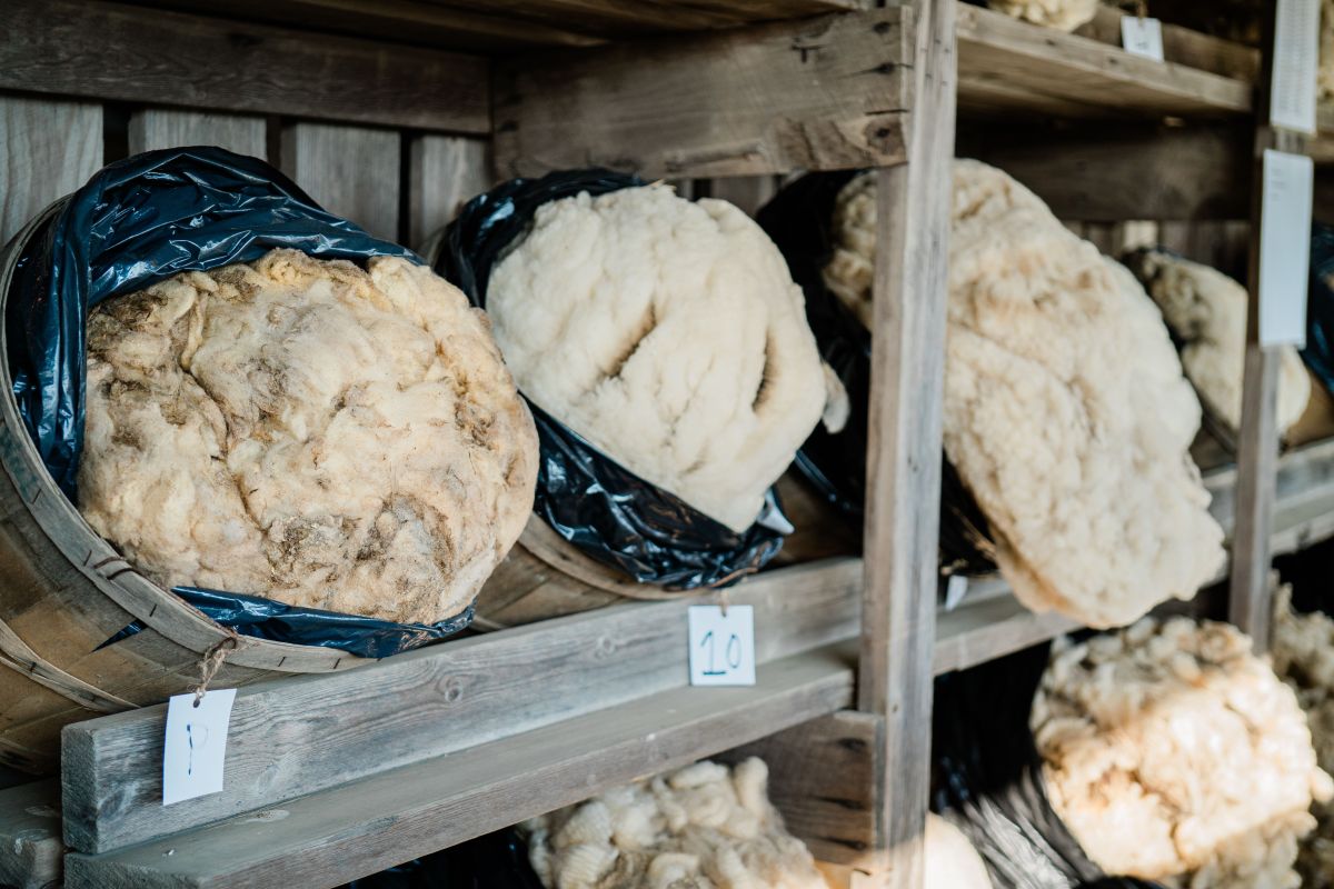 تصویر مربوط به شغل خریدار پشم - Wool Buyer