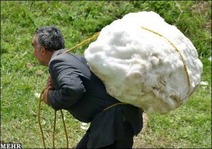 بقچه بدبختی